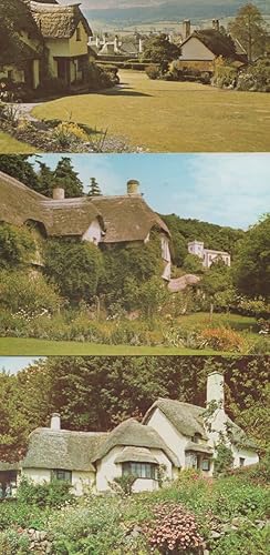 Selworthy Green Somerset 3x Stunning Postcard s
