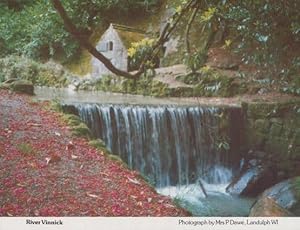 River Vinnick Cornwall Waterfall Border Postcard