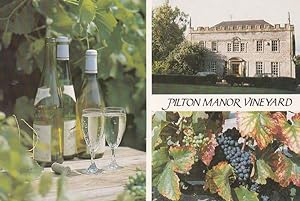 Pilton Manor Vineyard Somerset Wine Making 1980s Postcard