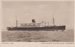 MV Caledonia Vintage Twin Screw Motor Ship Old Postcard