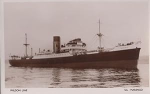 SS Marengo Wilson Line Ship Liner Vintage Postcard