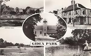 Romford Golf Course Gidea Park Vintage Real Photo Postcard