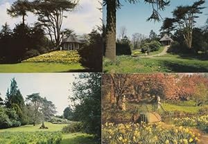 Old Warden Park Swiss Garden Bedfordshire 4x Postcard s