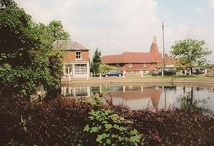 Goudhurst Newsagents & Village Pond Postcard