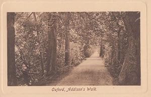 Oxford Addisons Walk Antique Friths Postcard Mint