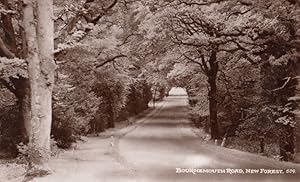 Bournemouth Road New Forest Antique Mint Real Photo Postcard