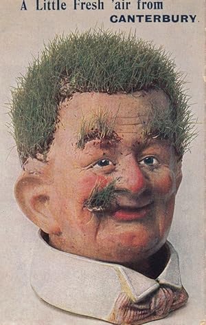 Funny Face Man in Canterbury Kent Grass Growing On Face Antique Comic Postcard