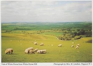 Sheep at White Horse Hill Grazing Farm Oxfordshire Womens Institute Postcard