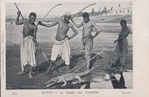 Image du vendeur pour Crocodile Hunting Crocodiles Egyptian Antique Postcard mis en vente par Postcard Finder