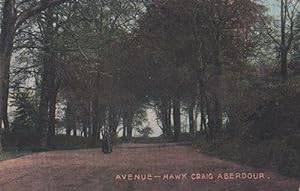 Hawk Craig Aberdour Avenue Antique Postcard