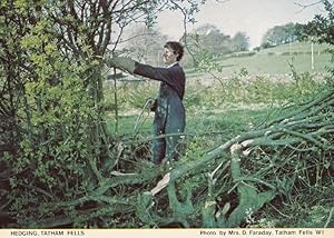 Hedging Tatham Fells Village Lancashire Vintage Postcard