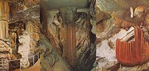 The Grotto Grotte Of Slovenia Jugoslavia Caves 3x Rare Mint Photo Postcard s