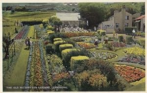 Patrons Rambling at the Tea Gardens Llandudno Old Welsh Postcard
