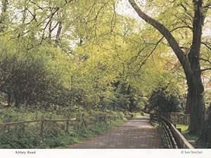 Bild des Verkufers fr Abbey Road Country Lane in Autium Knaresborough Postcard zum Verkauf von Postcard Finder