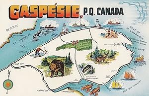 Gaspesie Quebec Map incl Fishing Boats Deer Canada Postcard