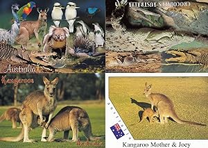 Seller image for Crocodiles in Australia Wildlife Kangaroos 4x Australian Postcard s for sale by Postcard Finder