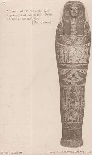 Mummy Of Thent Mut S Kebti Priestess Of Amen Ra Antique Egyptian Postcard