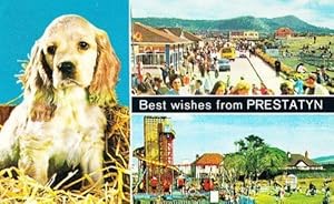 Prestatyn Wales Childrens Welsh Park Childrens Playground Giant Slide Postcard