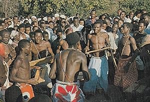 Giriama Dancers Mombassa Africa Postcard