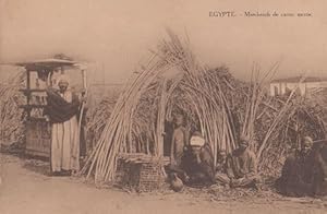 Dealers Sugar Cane Markets Marchands De Canne Sucree Egyptian Antique Postcard