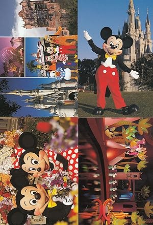 Walt Disney World USA Cinderella Mickey Mouse 4x Postcard s