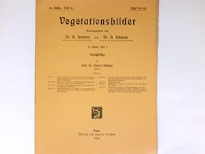 Immagine del venditore per Ostafrika : Vegetationsbilder. 14. Reihe, Heft 8, Tafel 43-48. venduto da Antiquariat Buchhandel Daniel Viertel
