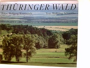 Seller image for Thringer Wald : mit Ausflgen in das Thringer Schiefergebirge. for sale by Antiquariat Buchhandel Daniel Viertel