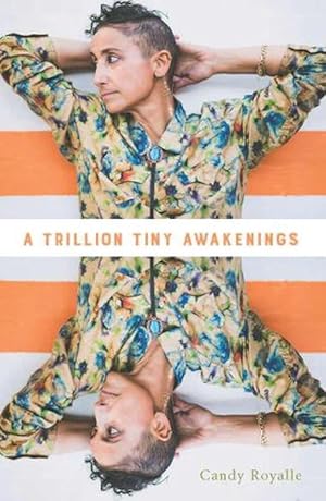 Seller image for A Trillion Tiny Awakenings (Paperback) for sale by AussieBookSeller