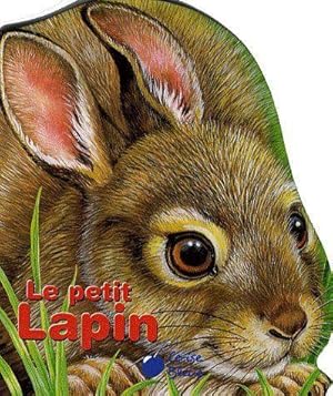 Image du vendeur pour Le petit lapin mis en vente par Chapitre.com : livres et presse ancienne