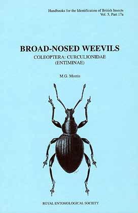 Immagine del venditore per Broad-nosed Weevils. Coleoptera: Curculionidae (Entiminae) venduto da ConchBooks