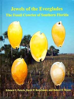 Bild des Verkufers fr Jewels of the Everglades. The Fossil Cowries of Southern Florida zum Verkauf von ConchBooks