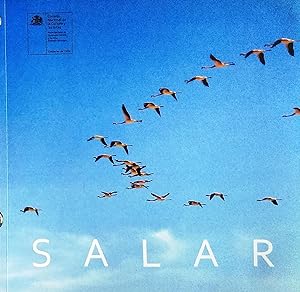 Salar / Fotolibro