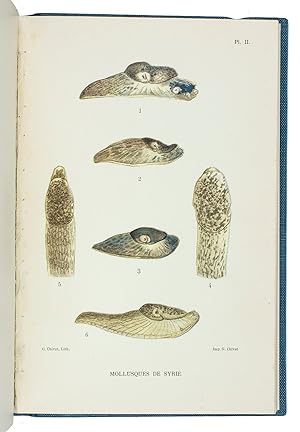 Bild des Verkufers fr Mollusques terrestres et fluviatiles de Syrie.Paris, Baillire and son (colophon: Rouen, Lecerf), 1921-1922. 2 volumes. 8vo. With 118 figures on 23 plates and some smaller illustrations in text. Later blue cloth. zum Verkauf von ASHER Rare Books