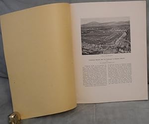 Vorläufiger Bericht über die Grabungen in Ephesus 1905/06 VIII.