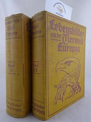 Imagen del vendedor de Vgel Europas. Tiergeschichten von Martin, Braetz, Hermann Lns, Alf Bachmann (u.a.). Zweite, UMGEARBEITETE Ausgabe. Mit 550 photographischen Abbildungen freilebender Tiere. VIER (4) Bnde in ZWEI (2) Bnden (komplett). a la venta por Chiemgauer Internet Antiquariat GbR