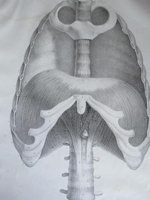 Lithographie von C. de Last nach einer Zeichnung von Feillet, Blattgröße: 53 x 35 cm.