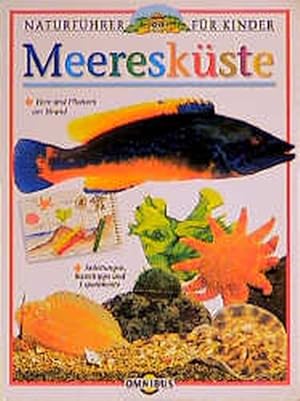 Meeresküste