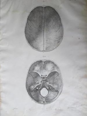 Lithographie von C. de Last nach einer Zeichnung von Feillet, Blattgröße: 53 x 35 cm.