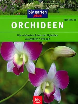 Seller image for Orchideen : die schnsten Arten und Hybriden ; auswhlen, pflegen. Jrn Pinske / blv Garten plus for sale by Antiquariat Buchhandel Daniel Viertel