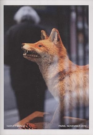 Seller image for Harvey Benge: Paris, November 2014 for sale by Masalai Press