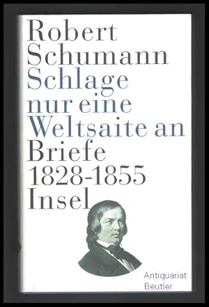 Schlage nur eine Weltsaite an. Briefe 1828 - 1855. Ausgewählt und kommentiert von Karin Sousa. Mi...