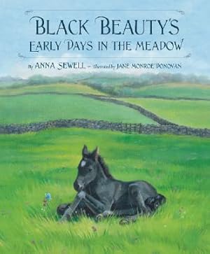 Seller image for Black Beauty's Early Days in the Meadow for sale by BargainBookStores