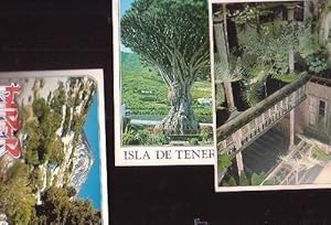 TENERIFE , LOTE DE 6 POSTALES - AÑOS 80