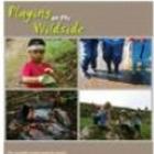 Playing on the Wildside : An essential guide for playworkers, childminders, early years settings ...