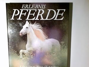 Bild des Verkufers fr Erlebnis Pferde. zum Verkauf von Antiquariat Buchhandel Daniel Viertel