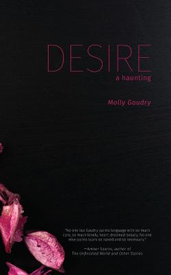 Image du vendeur pour Desire: A Haunting (Paperback or Softback) mis en vente par BargainBookStores