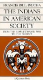 Seller image for Indians in American Society: Revolutionary War to Present: From the Revolutionary War to the Present (Quantum Books) for sale by NEPO UG