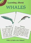 Seller image for Learning about Whales [With Whales] (Learning about Books (Dover)) for sale by NEPO UG