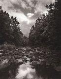 Seller image for Dennis Shultz: To Save a River: Documenting the Natural History, Restoration and Preservation of the Ducktrap River for sale by NEPO UG