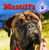 Bild des Verkufers fr Mastiffs (Dog Mania Great Big Dogs) zum Verkauf von NEPO UG